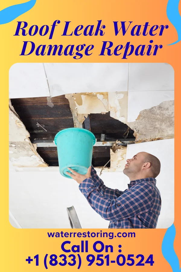 Roof Leak Water Damage Repair in Quonochontaug, RI