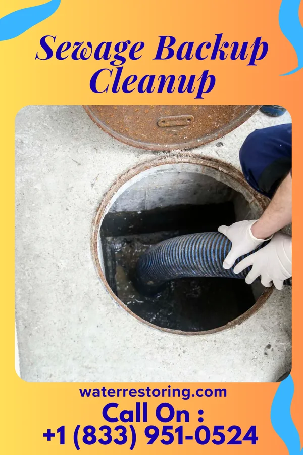 Sewage Backup Cleanup in Quonochontaug, RI