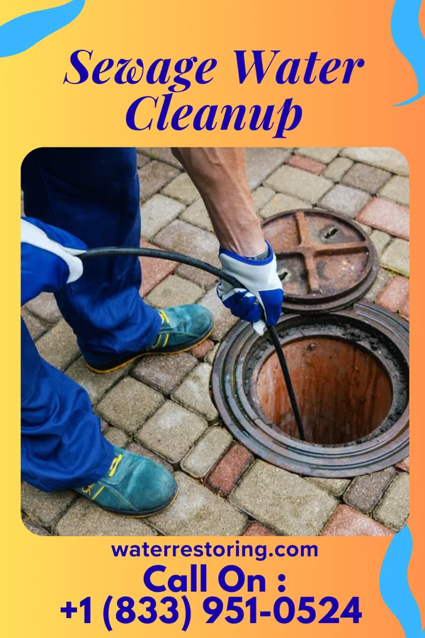 Sewage Water Cleanup in Quonochontaug, RI