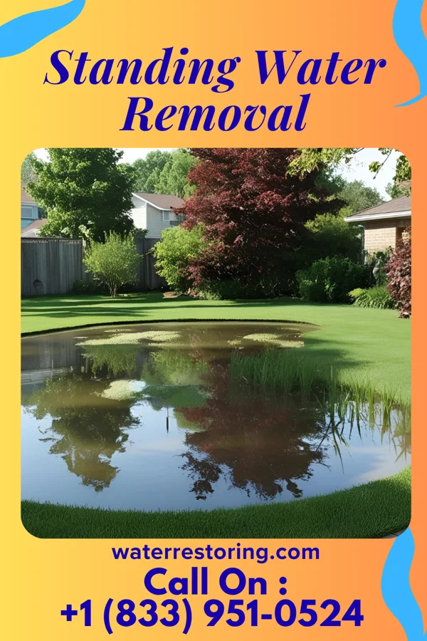 Standing Water Removal in Quonochontaug, RI